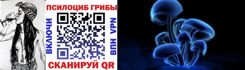 Псилоцибиновые грибы прущие грибы  Купить закладки  Вичуга 